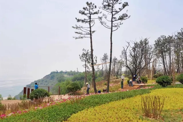 陜西省交通運輸廳領(lǐng)導一行百余人蒞臨沿黃公路韓城段景觀提升工程檢查工作