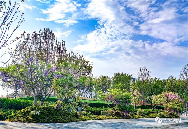 人文花展|成都SKP發(fā)來(lái)感謝信：高超造景技術(shù)帶來(lái)圓滿呈現(xiàn)，期待未來(lái)繼續(xù)精誠(chéng)合作