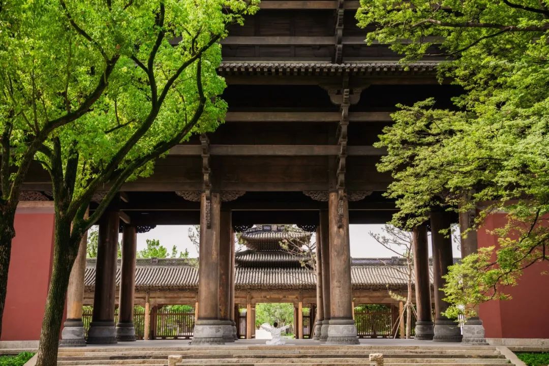 喜報|人文園林榮獲桐鄉市“鳳鳴杯”三項優質工程榮譽！