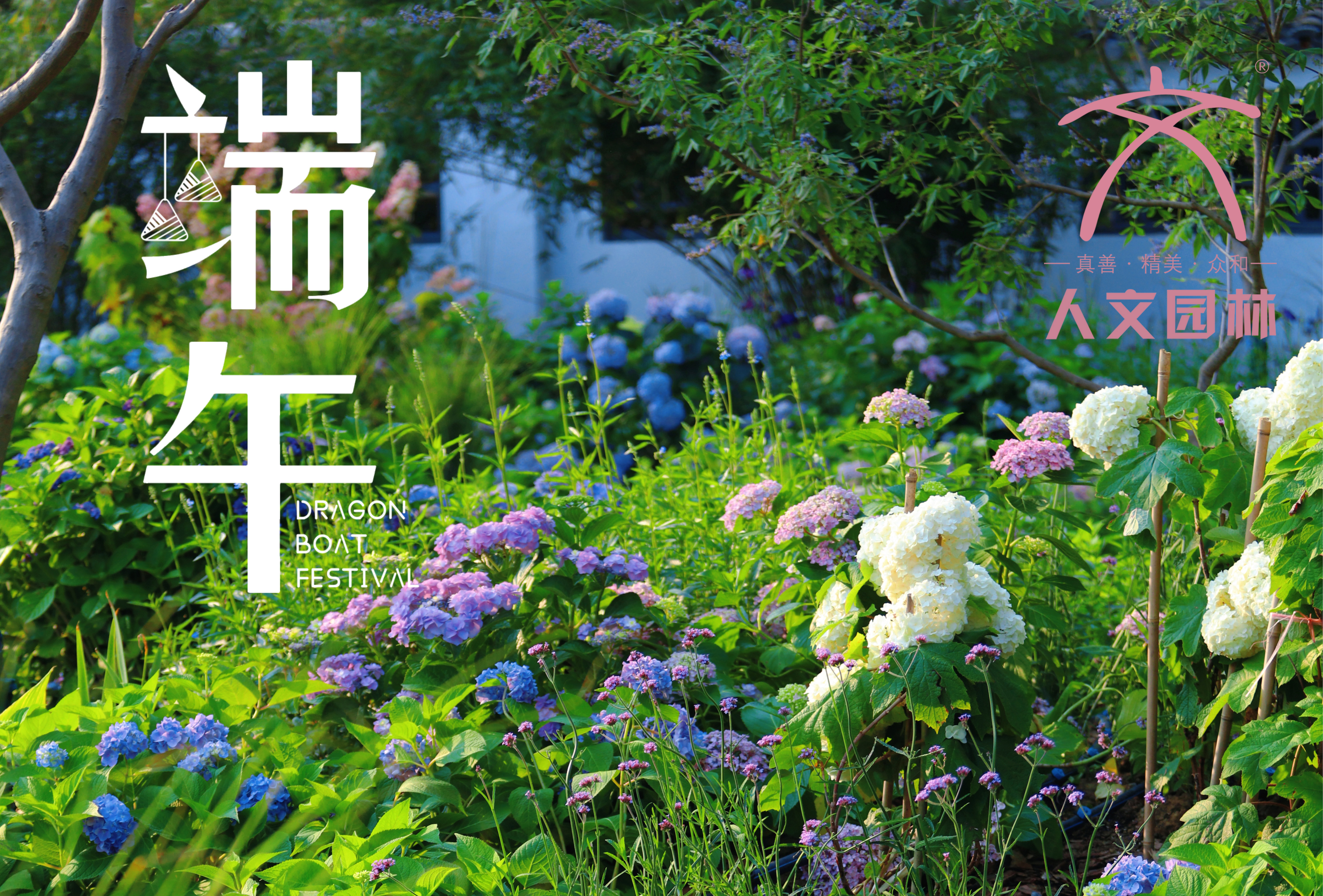 端午安康|與“花”相約，共賞佳節芬芳