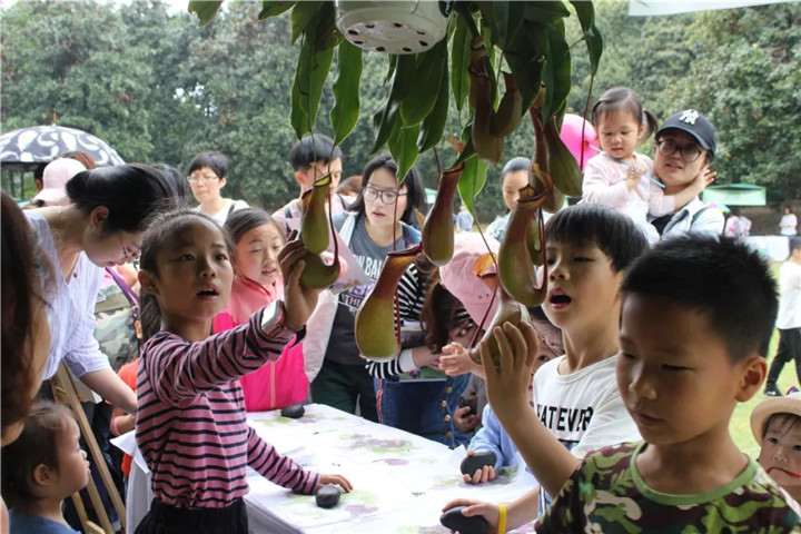 15366599892148141653.jpg QQ圖片20180911175326.jpg