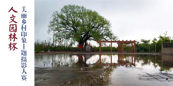 153680631989652437A3.jpg QQ圖片20180913102136.jpg