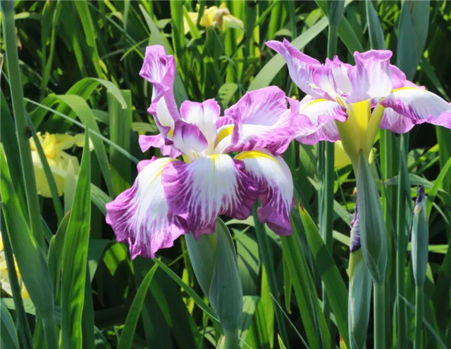 15514284011004499A09.jpg QQ圖片20190301161202.jpg