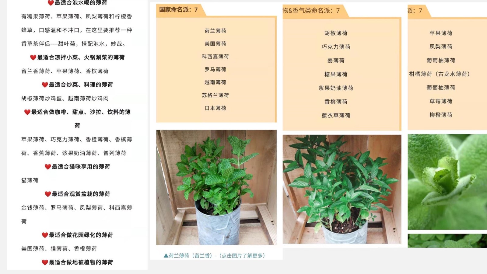 1615877882841701ACCF.jpg 微信圖片_20210316145424.jpg