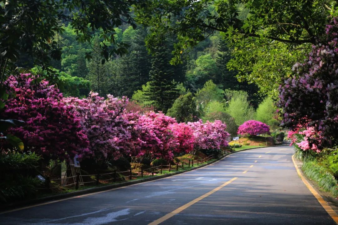 1648628593130739E61C.jpg 微信圖片_20220330162557.jpg