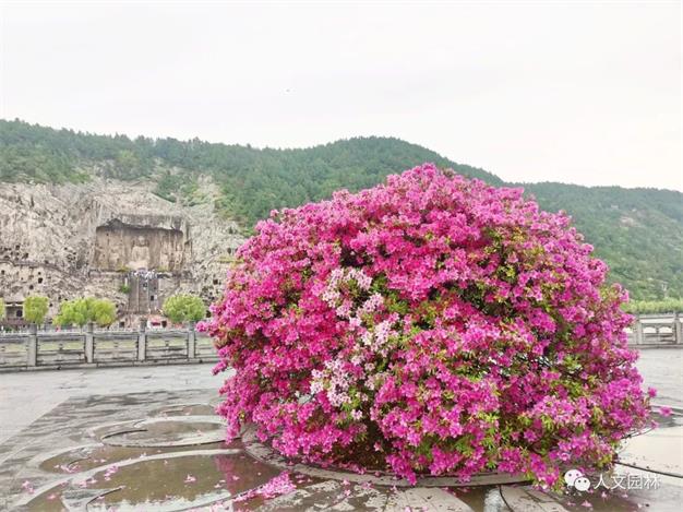 168239131851504752FE.jpg 640 (7).jpg