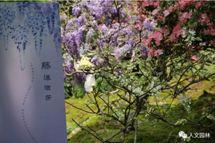 168318165597355139AB.png image.png