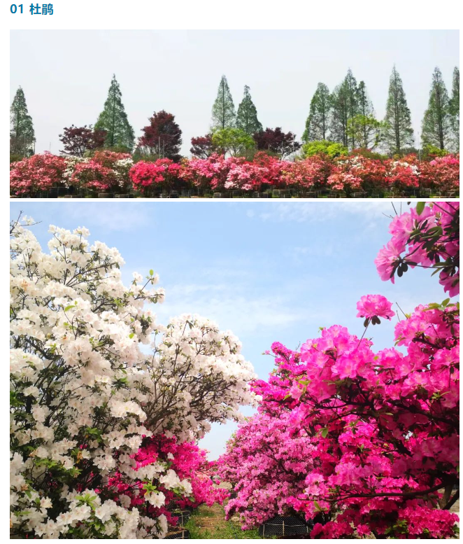 1688019814489830183B.png image.png